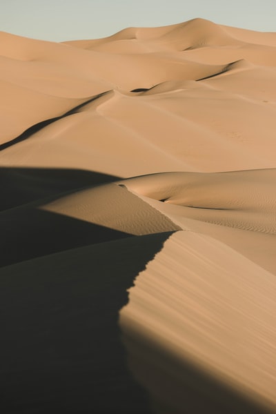 白天棕色沙丘